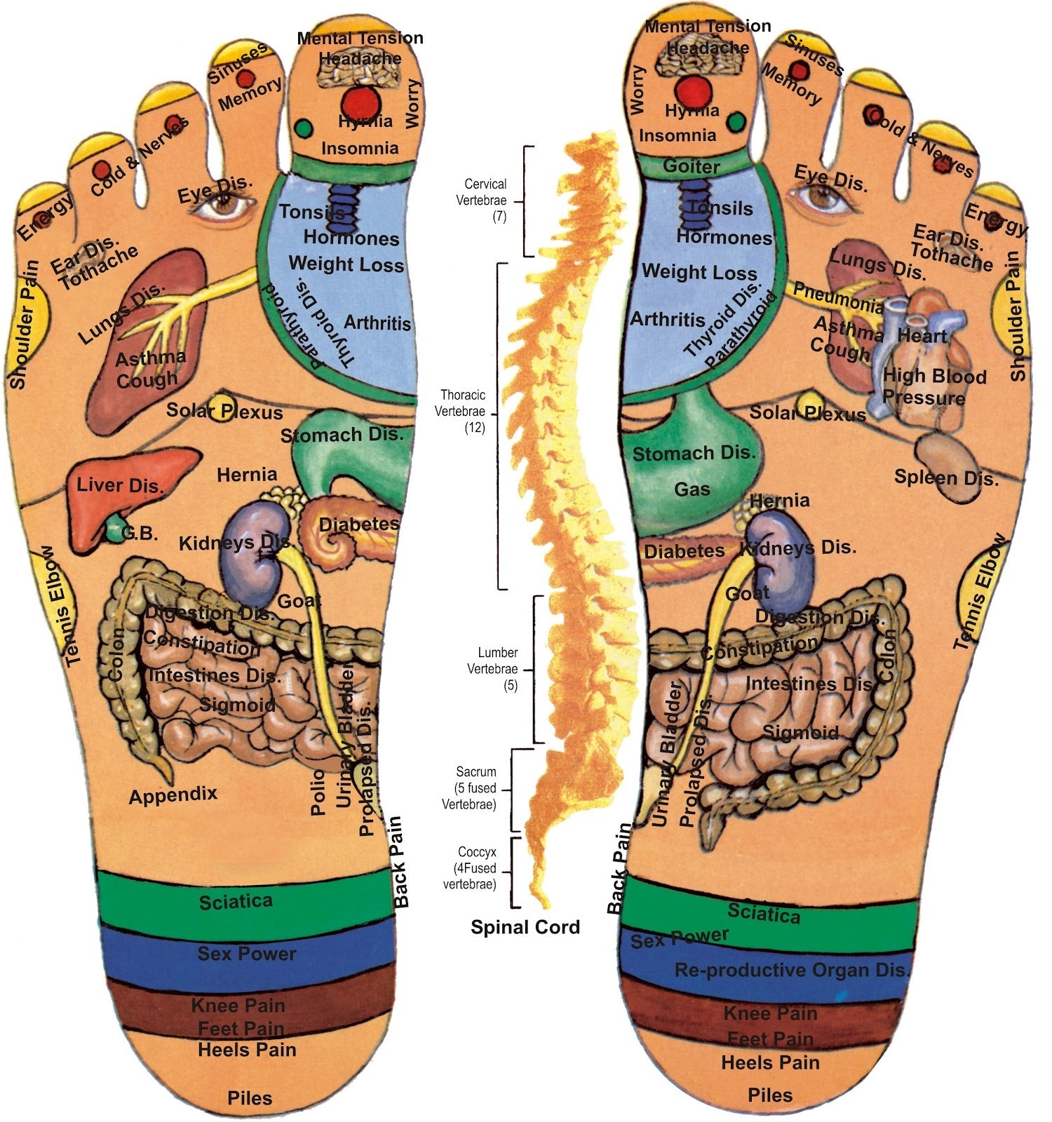 Acupuncture & Acupressure